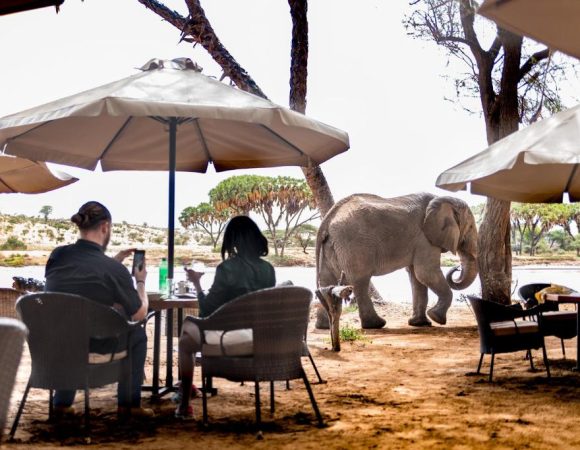 Elephant bedroom Tented Camp