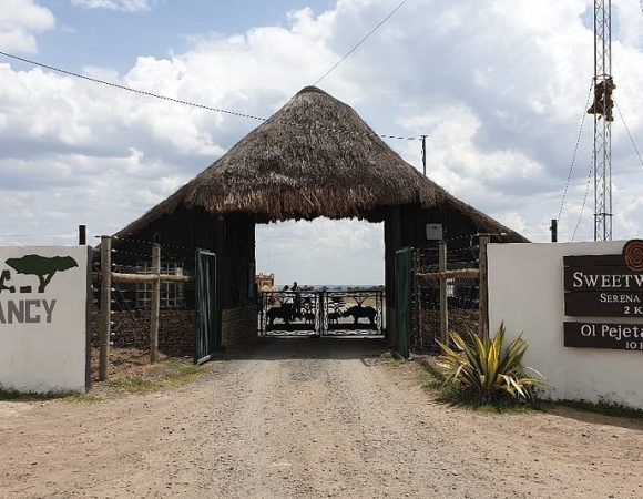 Sweetwater’s Serena Tented Camp