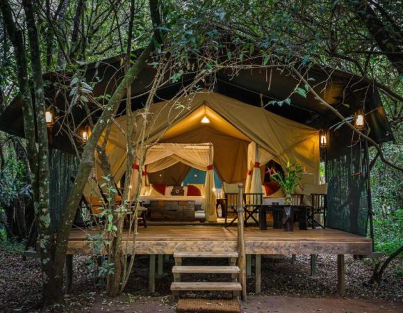 Mara Bush Camp