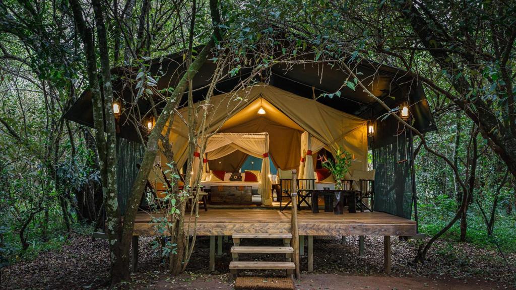 Mara Bush Camp