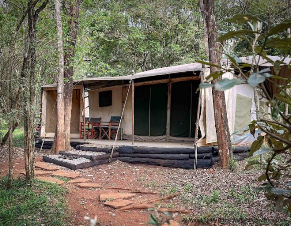 Nairobi Tented Camp