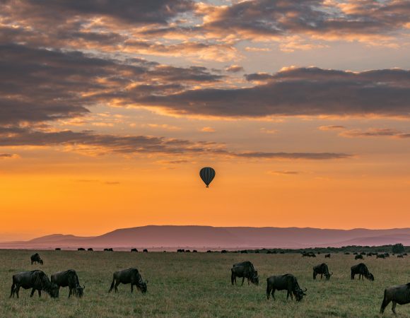 The Great Wildebeest Migration in Masai Mara, Kenya