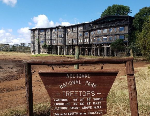 Aberdare Treetops Lodge