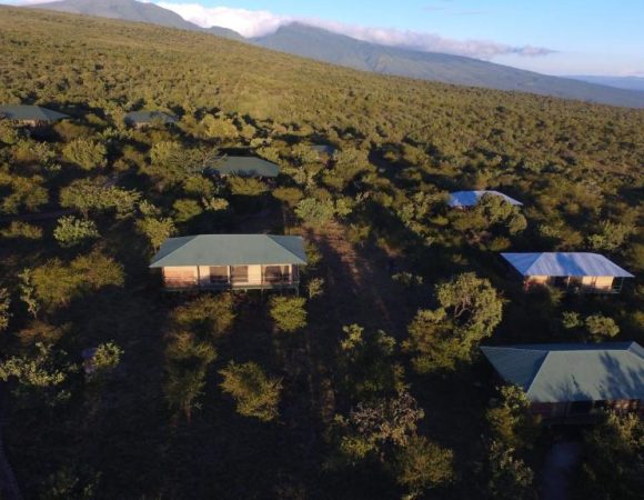 Ngorongoro Wild camp