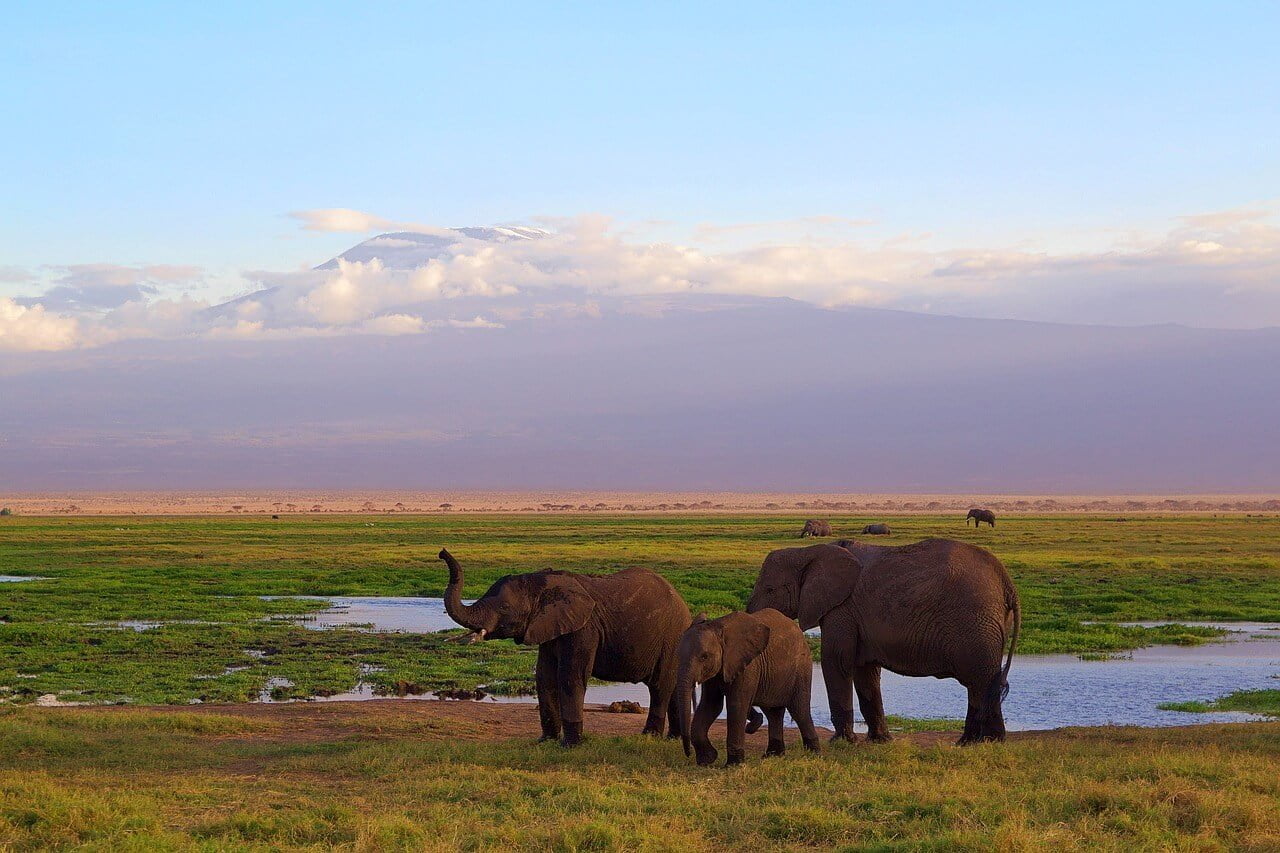 Amboseli National Park