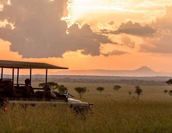 Why go on a Safari in Kenya