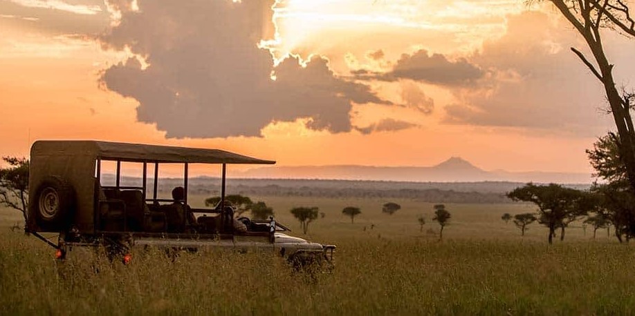 What to pack and wear on an African safari