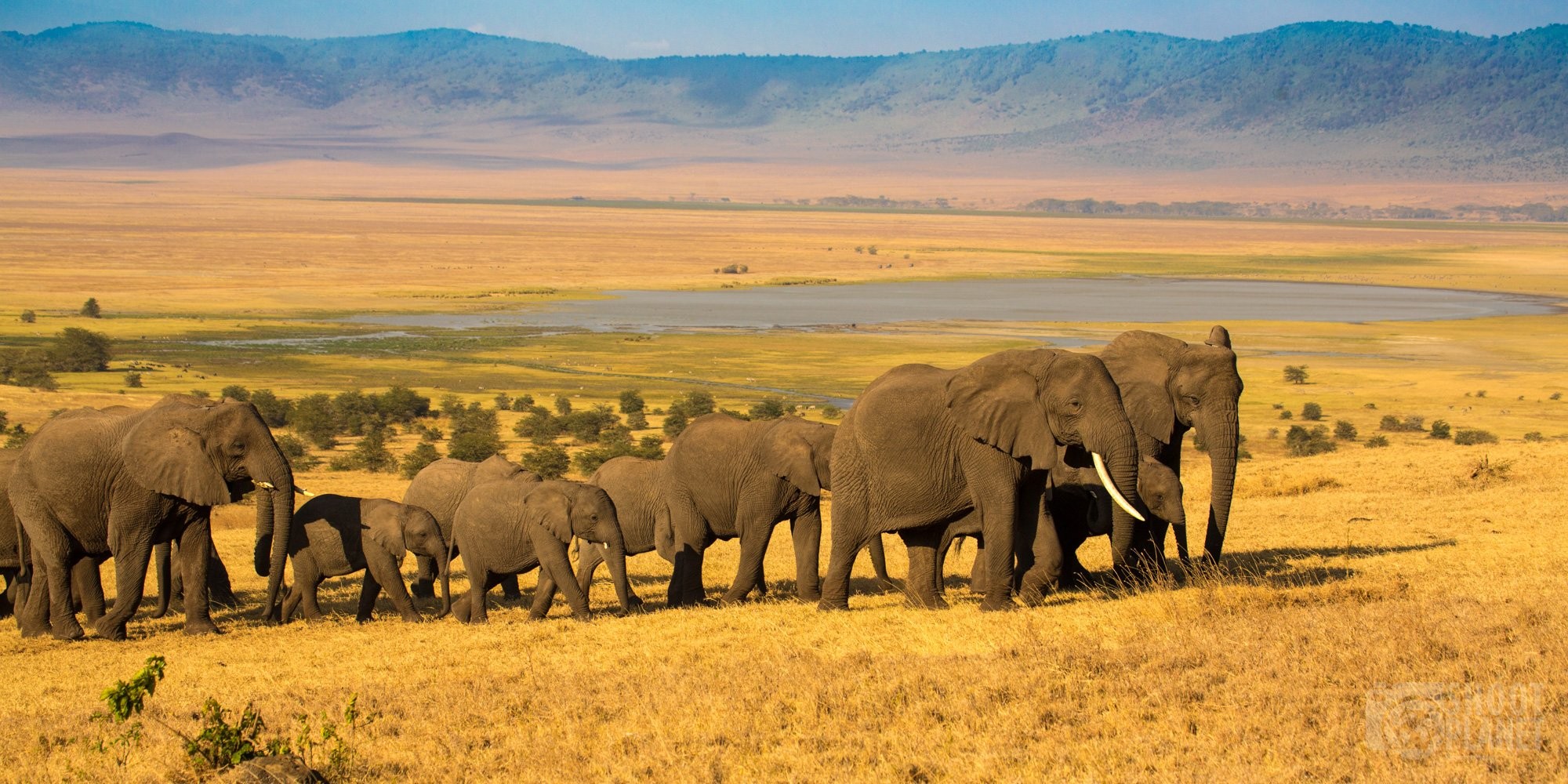 Ngorongoro Conservation