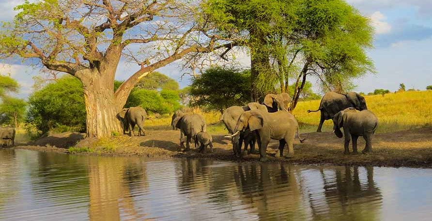 Tarangire National Park