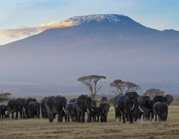 3 Days Safari Amboseli National Park