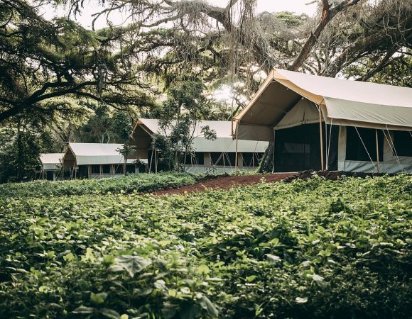 Ngorongoro Tortilis Camp