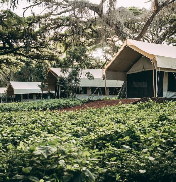 Ngorongoro Tortilis Camp