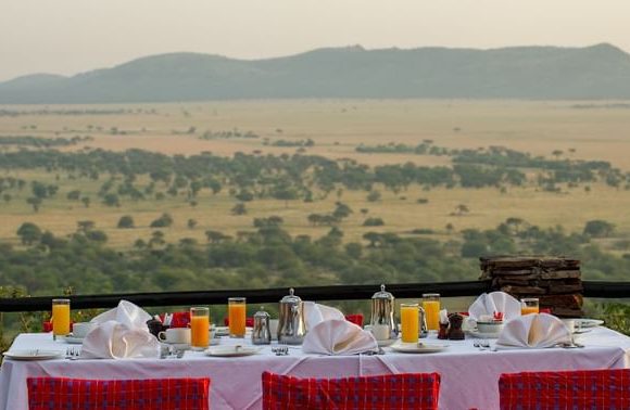 Central Serengeti National Park Hotels