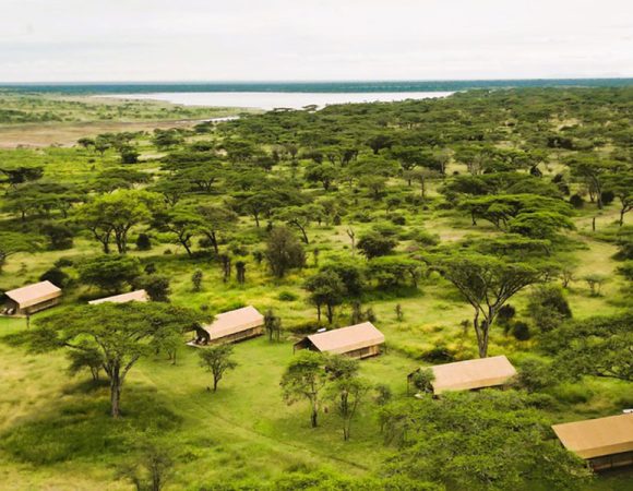 Southern Serengeti National Park Hotels