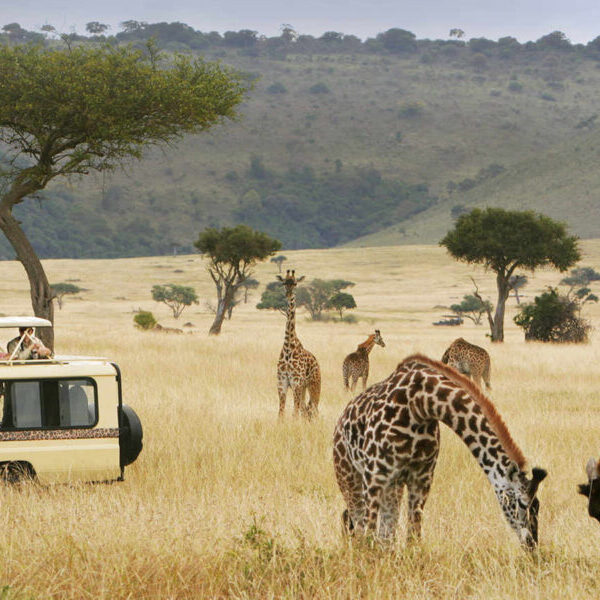 4 Days Fly-in Safari Tsavo West National Park