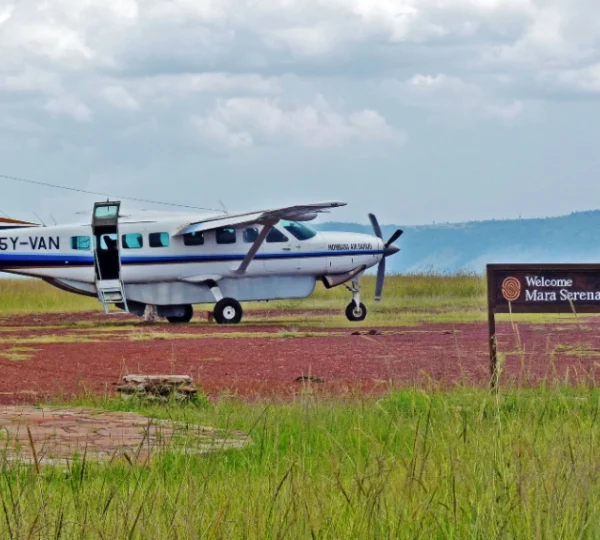 4-Days-Fly-in-Masai-Mara-Safari-Banok Safaris ltd