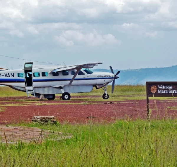 4-Days-Fly-in-Masai-Mara-Safari-Banok Safaris ltd