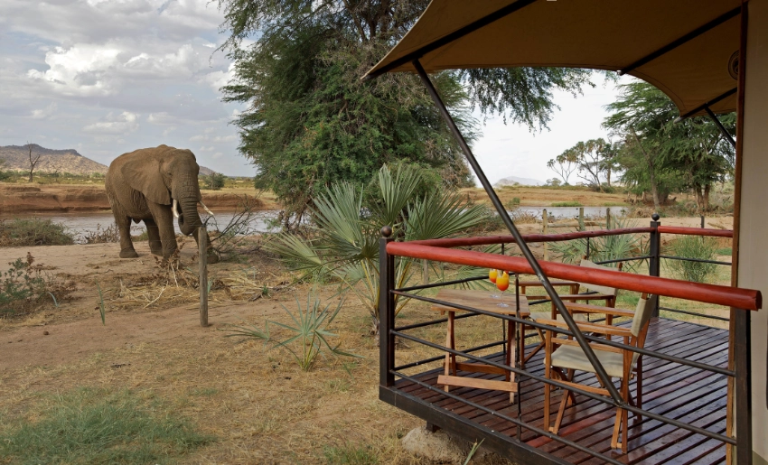 Ashnil Samburu Camp- Banok Safaris Ltd