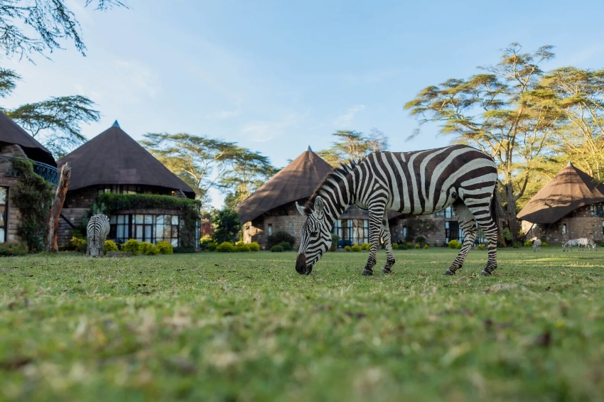 Mara Sopa Lodge-Banok Safaris Limited