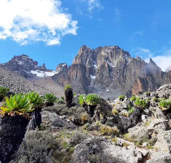 featured-chogoria-route-mt-kenya-gallerie
