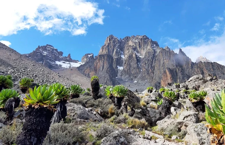 featured-chogoria-route-mt-kenya-gallerie