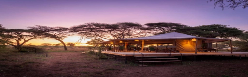 Baobab Tented Camp-Banok Safaris Limited