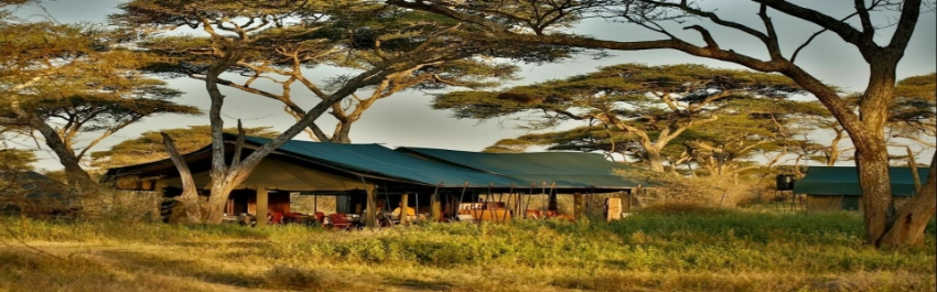 Chaka Camp-Banok Safaris Limited