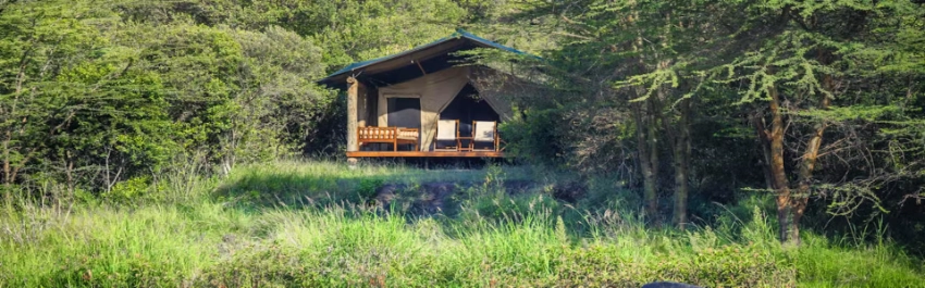 Karen Blixen Mara Camp- Banok Safaris Limited