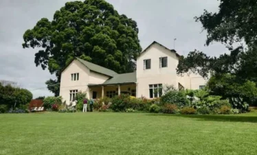 Kiambethu Tea Farm Plantation - Banok Safaris ltd