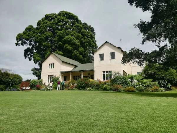 Kiambethu Tea Farm Plantation - Banok Safaris ltd
