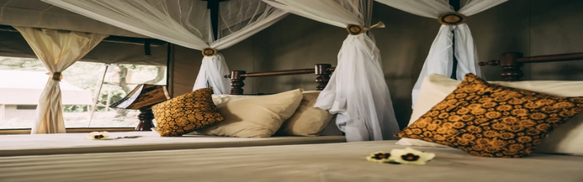 Lake Manyara Tortilis Camp-Banok Safaris Limited