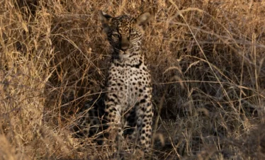 3 Days Safari Tarangire National Park