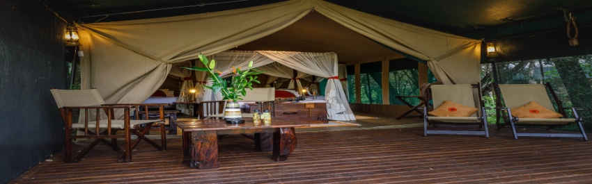 Mara Bush Camp- Banok Safaris Limited