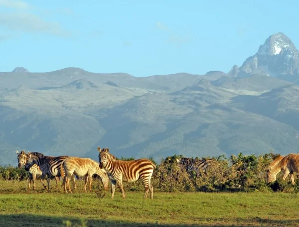 Mount Kenya National Park-Banok Safaris ltd