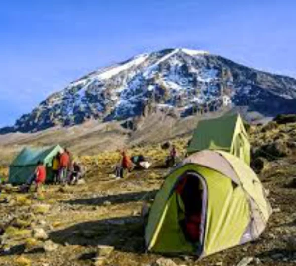 Mount Kilimanjaro climbing - Banok Safaris ltd