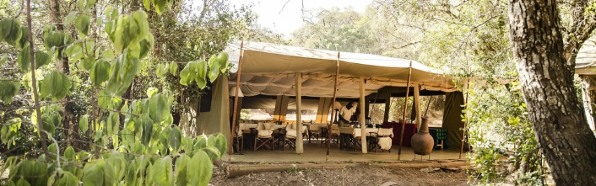 Nairobi Tented Camp- Banok Safaris Limited