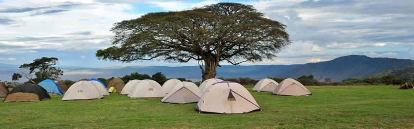 Ngorongoro Simba Campsite-Banok Safaris Limited