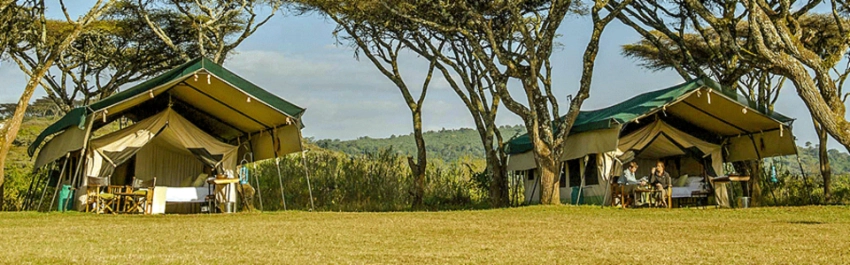 Ngorongoro Wild camp-Banok Safaris Limited