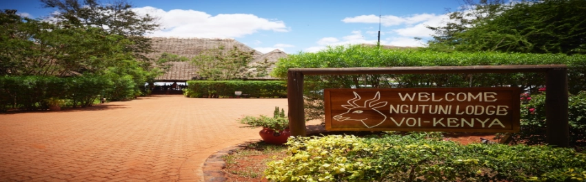 Ngutuni Safari Lodge- Banok Safaris Limited