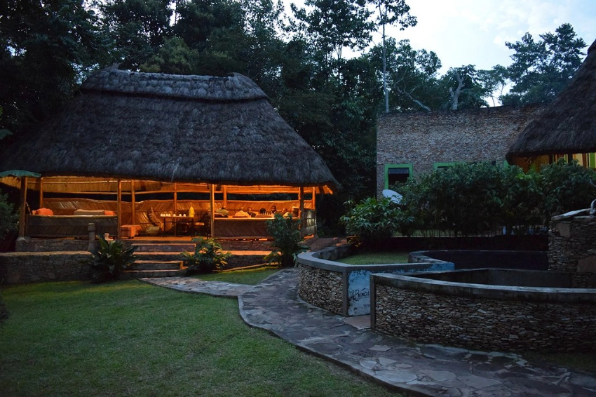 Primate Safari Lodge-Banok Safaris Limited
