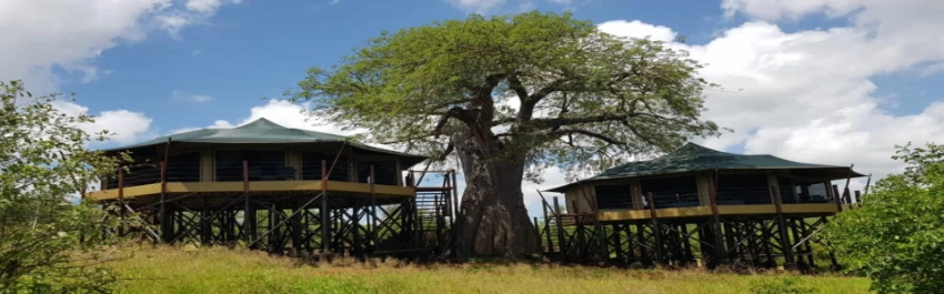 Tarangire Kuro Treetops Lodge-Banok Safaris Limited