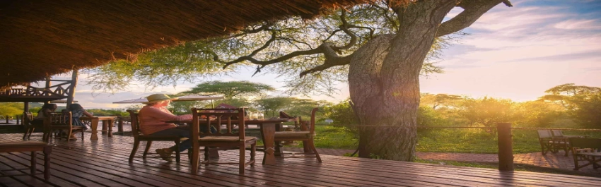 Tarangire Simba Lodge-Banok Safaris Limited