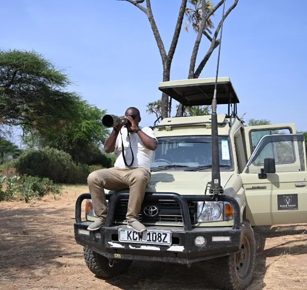 Tourist taking a photo while seated on top of a tour van - Banok Safaris ltd