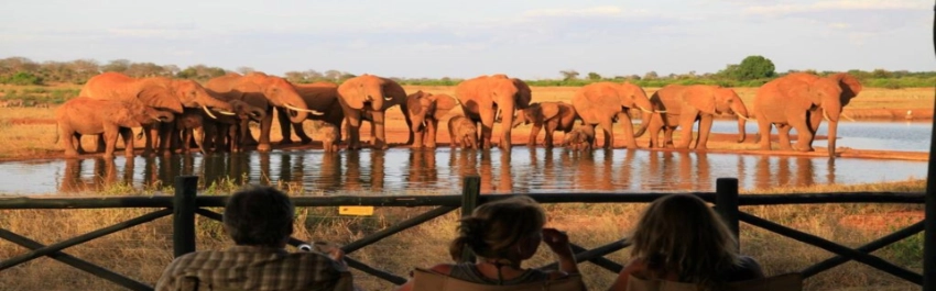 Voi Wildlife Lodge- Banok Safaris Limited