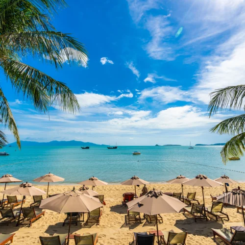 beautiful-tropical-beach-sea-ocean-with-coconut-palm-tree-umbrella-chair-blue-sky - Banok Safaris ltd