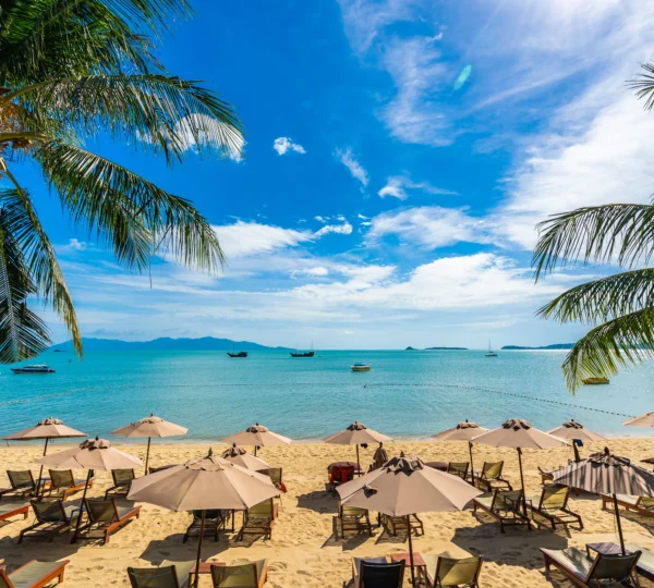 beautiful-tropical-beach-sea-ocean-with-coconut-palm-tree-umbrella-chair-blue-sky - Banok Safaris ltd