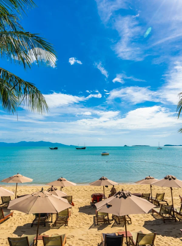 beautiful-tropical-beach-sea-ocean-with-coconut-palm-tree-umbrella-chair-blue-sky - Banok Safaris ltd
