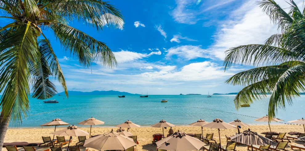 beautiful-tropical-beach-sea-ocean-with-coconut-palm-tree-umbrella-chair-blue-sky - Banok Safaris ltd