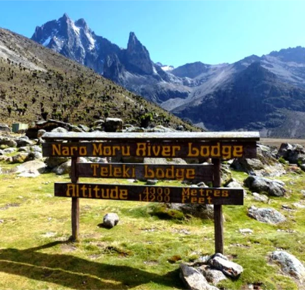 naro-moru-route-climbing-mount-kenya - Banok Safaris ltd