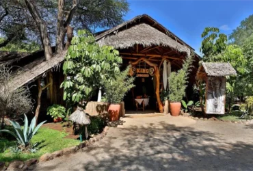Kibo Safari Camp- Banok Safaris Limited